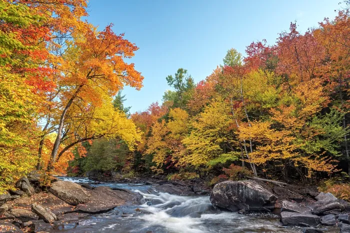 Framed Print : Oxtongue River in Autumn near Dwight, Ontario, Canada Framed Print : Oxtongue River in Autumn near Dwight, Ontario, Canada