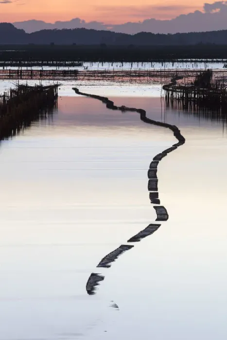 Framed Print : Oyster beds in the shape of a snake at sunset, Halong Bay, Quang Ninh Province, North-East