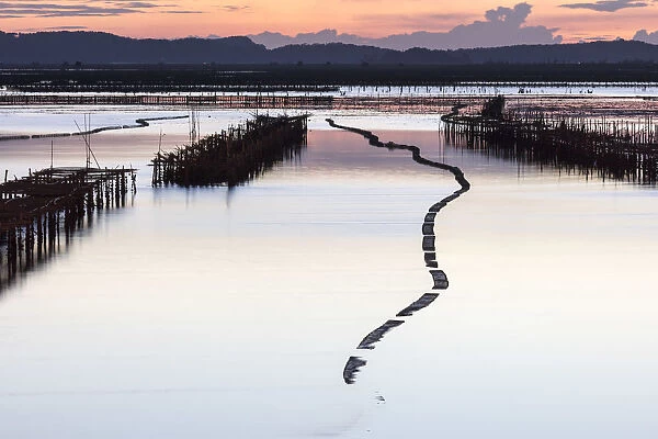 Oyster beds in the shape of a snake at sunset, Halong Bay, Quang Ninh Province, North-East