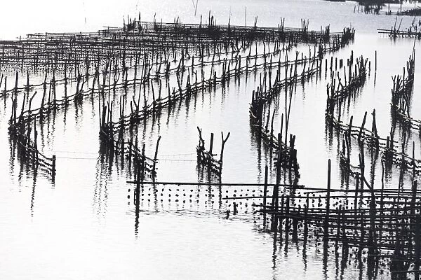 Oyster beds at sunset, Halong Bay, Quang Ninh Province, North-East Vietnam, South-East