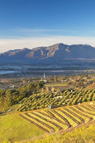 Paarl Valley at sunrise, Paarl, Western Cape, South Africa