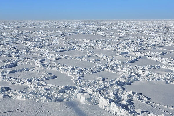 Pack ice - Antarctica, Weddell Sea, Riiser Larsen Ice Shelf