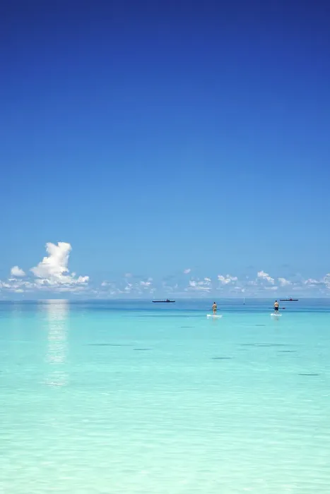 Framed Print : Paddleboarders in the turquoise waters of the Indian Ocean, North Ari Atoll, the Maldives Framed Print : Paddleboarders in the turquoise waters of the Indian Ocean, North Ari Atoll, the Maldives
