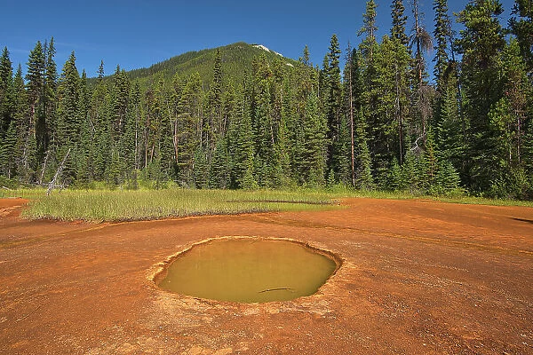 The Paint Pots where iron-rich mineral springs stain the surrounding earth a vibrant ochre colour. Canadian Rocky Mountains, Kootenay National Park, British Columbia, Canada
