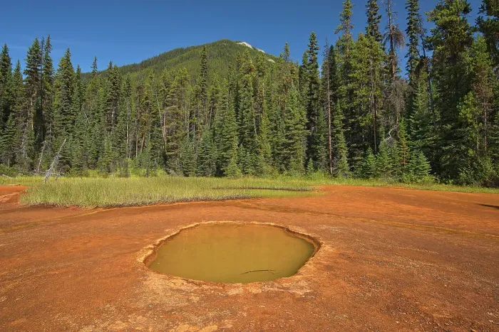 Framed Print : The Paint Pots where iron-rich mineral springs stain the surrounding earth a vibrant ochre colour. Canadian Rocky Mountains, Kootenay National Park, British Columbia, Canada Framed Print : The Paint Pots where iron-rich mineral springs stain the surrounding earth a vibrant ochre colour. Canadian Rocky Mountains, Kootenay National Park, British Columbia, Canada