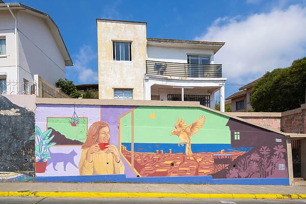 Painted mural of residential house on Avenida Alemania, Cerro Alegre, Valparaiso, Valparaiso Province, Valparaiso Region, Chile