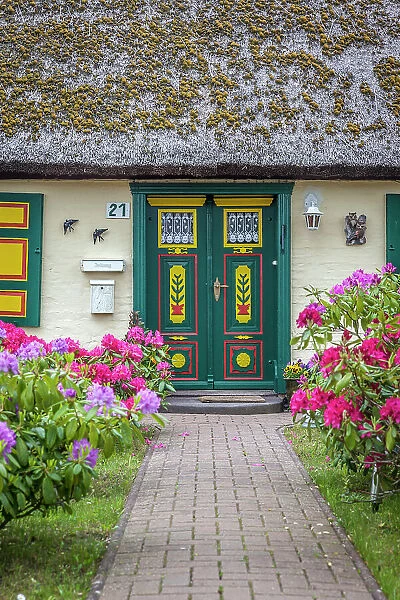 Painted wooden door on a beautiful, old thatched roof house in Born am Darss, Mecklenburg-West Pomerania, Baltic Sea, North Germany, Germany
