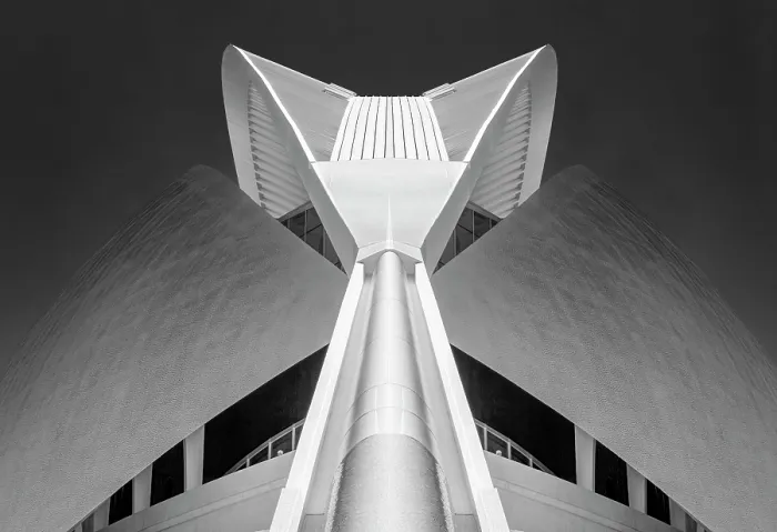 Framed Print : Detail of the Palau de les Arts Reina Sofia in infrared, Ciudad de los artes y ciencias (City of Arts and Sciences), Valencia, Spain Framed Print : Detail of the Palau de les Arts Reina Sofia in infrared, Ciudad de los artes y ciencias (City of Arts and Sciences), Valencia, Spain