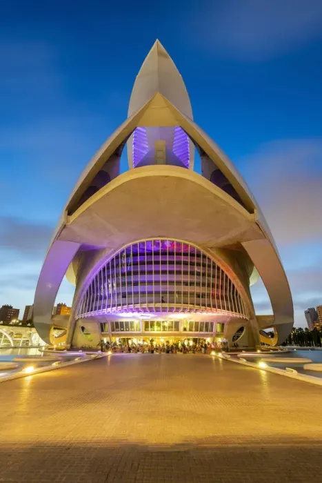 Framed Print : Palau de les arts Reina Sofia opera house, City of Arts and Sciences Framed Print : Palau de les arts Reina Sofia opera house, City of Arts and Sciences