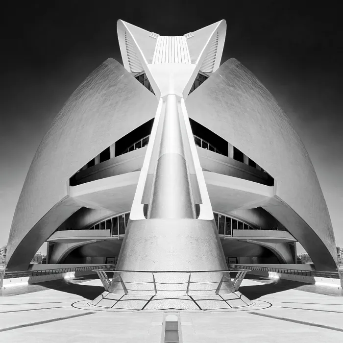 Framed Print : The Palau de les Arts Reina Sofia (Opera House), Ciudad de los artes y ciencias (City of Arts and Sciences), Valencia, Spain Framed Print : The Palau de les Arts Reina Sofia (Opera House), Ciudad de los artes y ciencias (City of Arts and Sciences), Valencia, Spain
