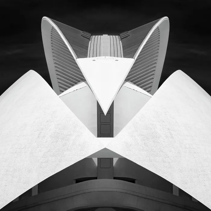 Framed Print : Detail of the Palau de les Arts Reina Sofia (Opera House), Ciudad de los artes y ciencias (City of Arts and Sciences), Valencia, Spain Framed Print : Detail of the Palau de les Arts Reina Sofia (Opera House), Ciudad de los artes y ciencias (City of Arts and Sciences), Valencia, Spain