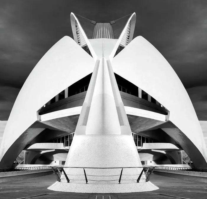 Framed Print : The Palau de les Arts Reina Sofia (Opera House), Ciudad de los artes y ciencias (City of Arts and Sciences), Valencia, Spain Framed Print : The Palau de les Arts Reina Sofia (Opera House), Ciudad de los artes y ciencias (City of Arts and Sciences), Valencia, Spain