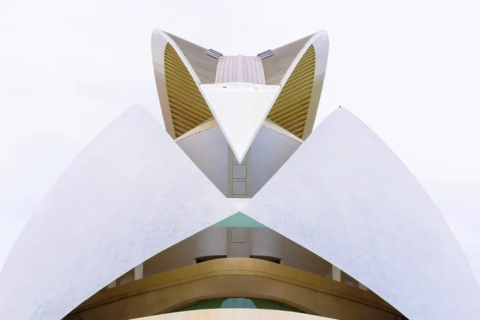 Framed Print : Detail of the Palau de les Arts Reina Sofia (Queen Sofia Palace of the Arts), Ciudad de los artes y ciencias (City of Arts and Sciences), Valencia, Spain Framed Print : Detail of the Palau de les Arts Reina Sofia (Queen Sofia Palace of the Arts), Ciudad de los artes y ciencias (City of Arts and Sciences), Valencia, Spain