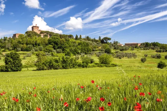 Framed Print : Palazzo Massaini & Poppies, Tuscany, Italy Framed Print : Palazzo Massaini & Poppies, Tuscany, Italy