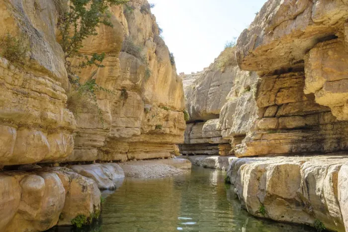 Framed Print : Palestine, West Bank, Jericho. Ein Quelt spring and freshwater pools within the Wadi Framed Print : Palestine, West Bank, Jericho. Ein Quelt spring and freshwater pools within the Wadi