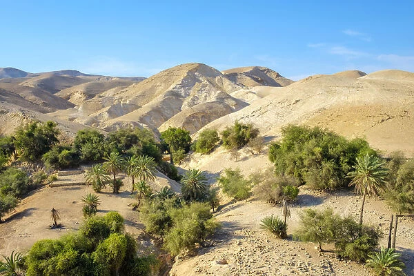 Palestine, West Bank, Jericho. Wadi Quelt, Prat River gorge