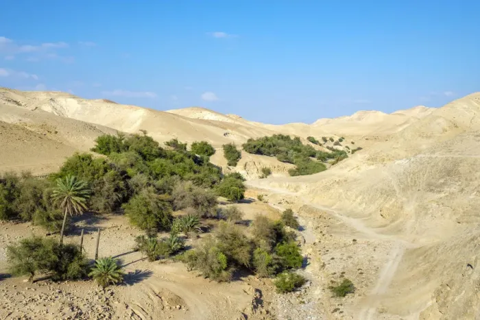 Framed Print : Palestine, West Bank, Jericho. Wadi Quelt, Prat River gorge Framed Print : Palestine, West Bank, Jericho. Wadi Quelt, Prat River gorge