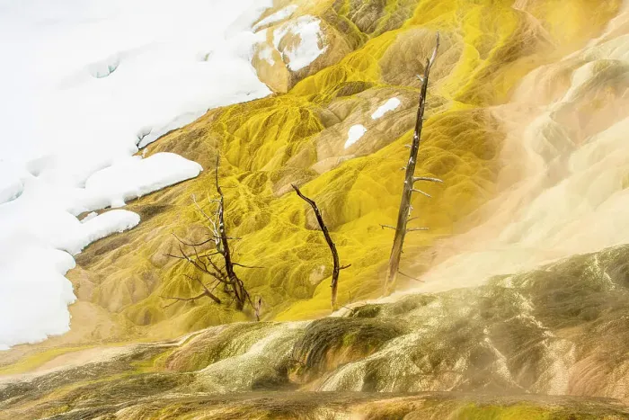 Framed Print : Palette Spring in winter, Yellowstone National Park- Mammoth Hot springs, Wyoming, USA Framed Print : Palette Spring in winter, Yellowstone National Park- Mammoth Hot springs, Wyoming, USA