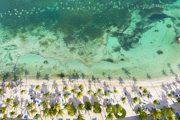 Palm-fringed beach washed by Caribbean Sea from above by drone, St