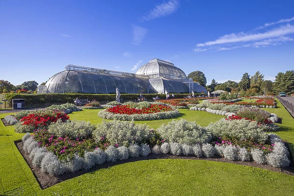 Palm House, Kew Gardens (Royal Botanic Gardens), Richmond, London, England, UK