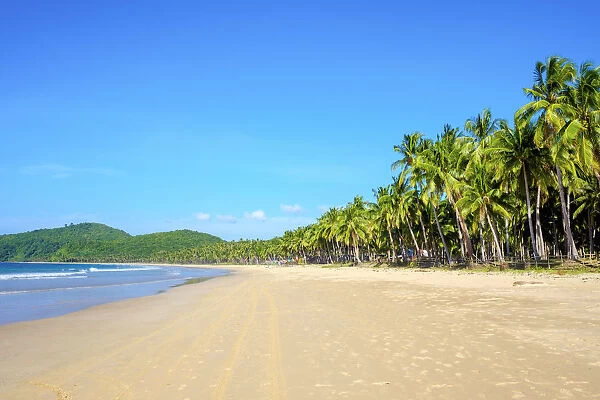Palm-lined white sand beach at Nacpan Beach, El Nido, Palawan, Philippines