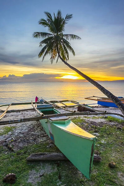 Palm tree and fishing boats on Paliton Beach at sunset, San Juan, Siquijor Island