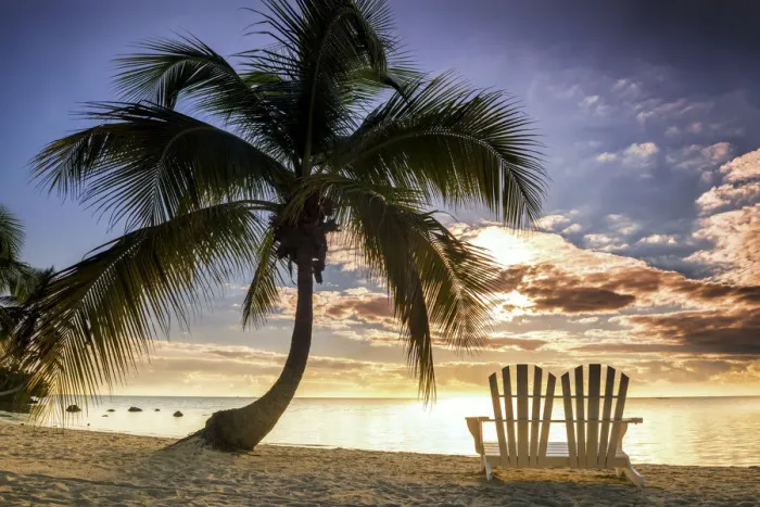 Framed Print : Palm Tree & Love Seat, Islamorada, Florida Keys, USA Framed Print : Palm Tree & Love Seat, Islamorada, Florida Keys, USA