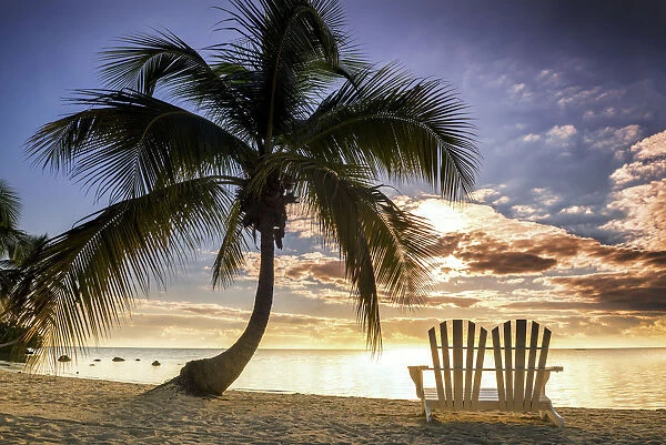 Palm Tree & Love Seat, Islamorada, Florida Keys, USA