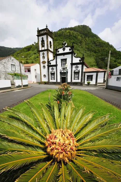 Framed Print : Palm tree and motherchurch at Faial da Terra. Sao Miguel, Azores islands, Portugal Framed Print : Palm tree and motherchurch at Faial da Terra. Sao Miguel, Azores islands, Portugal