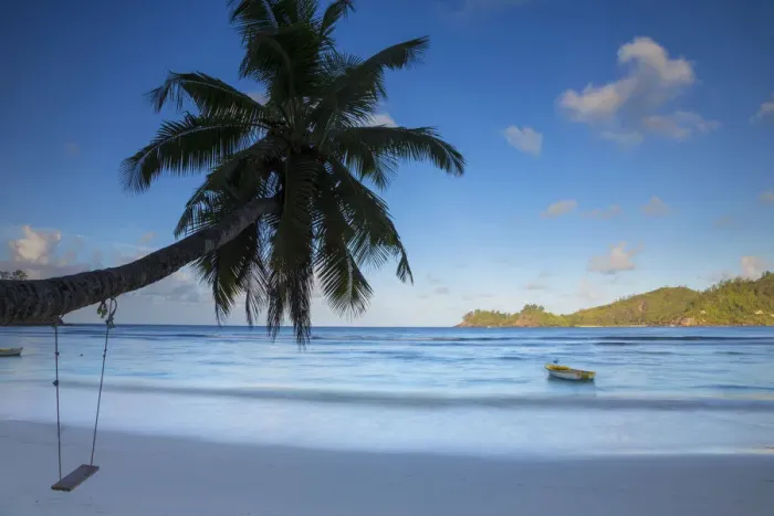 Framed Print : Palm tree and Tropical beach, southern Mahe, Seychelles