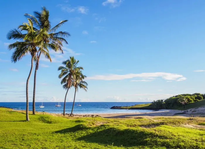 Framed Print : Palm Trees by the Anakena Beach, Easter Island, Chile Framed Print : Palm Trees by the Anakena Beach, Easter Island, Chile