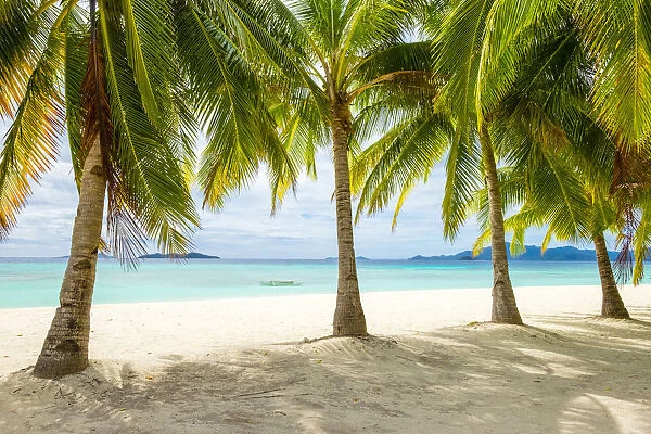 Palm trees and blue water on the white sand beach of Malcapuya Island, Culion, Palawan
