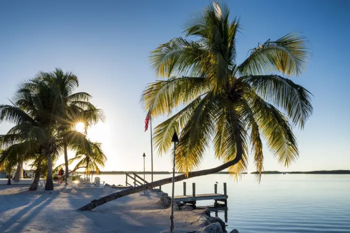 Framed Print : Palm Trees & Jetty, Islamorada, Florida Keys, USA Framed Print : Palm Trees & Jetty, Islamorada, Florida Keys, USA