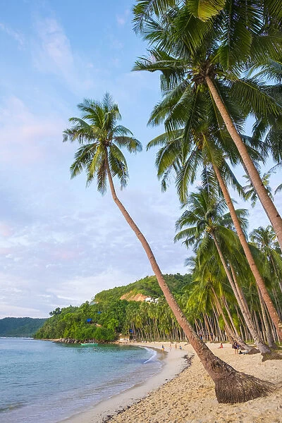 Palm trees on Marimegmeg Beach, El Nido, Palawan, Philippines