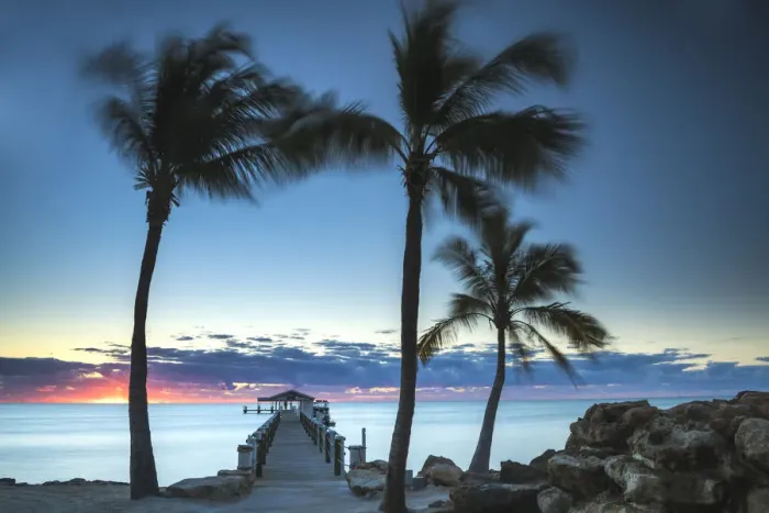 Framed Print : Palm Trees & Pier at Dawn, Islamorada, Florida Keys, USA Framed Print : Palm Trees & Pier at Dawn, Islamorada, Florida Keys, USA