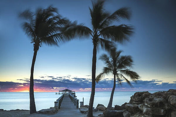 Palm Trees & Pier at Dawn, Islamorada, Florida Keys, USA