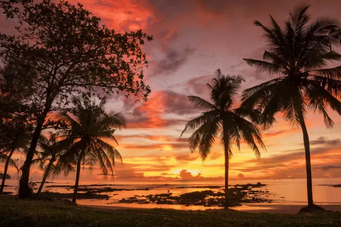 Framed Print : Palm Trees at Sunset, Khao Lak, Phang-nga, Thailand, Asia Framed Print : Palm Trees at Sunset, Khao Lak, Phang-nga, Thailand, Asia