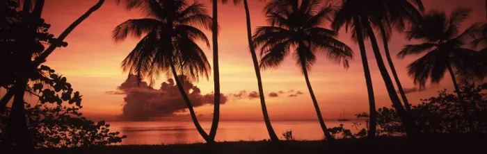 Framed Print : Palm Trees at Sunset, Pigeon Point, Tobago, Caribbean Framed Print : Palm Trees at Sunset, Pigeon Point, Tobago, Caribbean