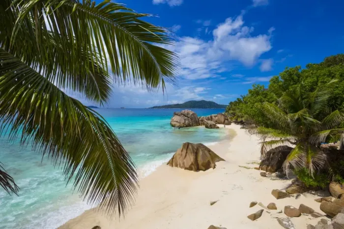 Framed Print : Palm trees and tropical beach, La Digue, Seychelles Framed Print : Palm trees and tropical beach, La Digue, Seychelles