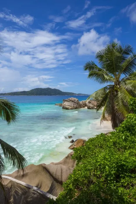 Framed Print : Palm trees and tropical beach, La Digue, Seychelles Framed Print : Palm trees and tropical beach, La Digue, Seychelles