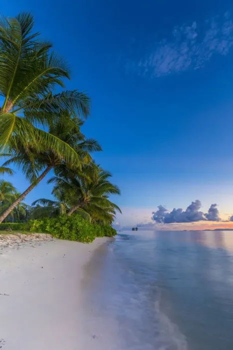 Framed Print : Palm trees and tropical beach, La Digue, Seychelles Framed Print : Palm trees and tropical beach, La Digue, Seychelles