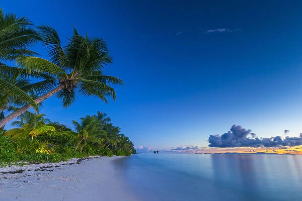 Palm trees and tropical beach, La Digue, Seychelles