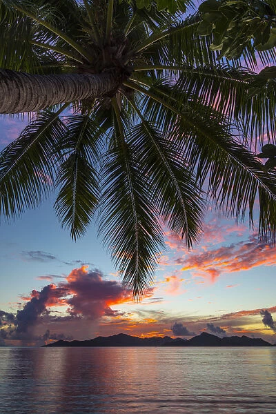 Palm trees and tropical beach, La Digue, Seychelles