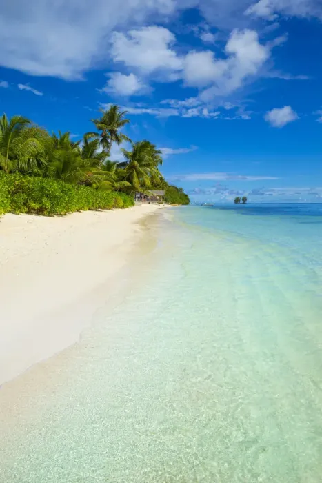 Framed Print : Palm trees and tropical beach, La Digue, Seychelles Framed Print : Palm trees and tropical beach, La Digue, Seychelles