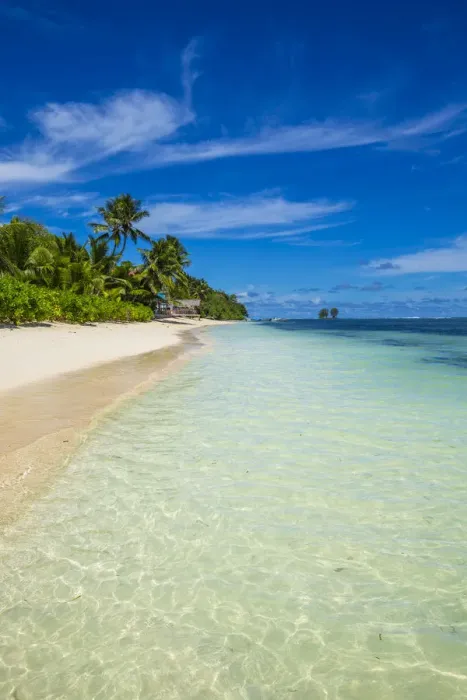 Framed Print : Palm trees and tropical beach, La Digue, Seychelles Framed Print : Palm trees and tropical beach, La Digue, Seychelles