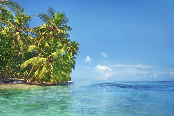 Palm trees and tropical beach - Maldives, Baa Atoll, Kunfunadhoo - Soneva Fushi