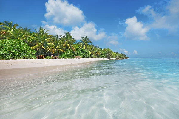 Palm trees and tropical beach - Maldives, Baa Atoll, Kunfunadhoo - Soneva Fushi