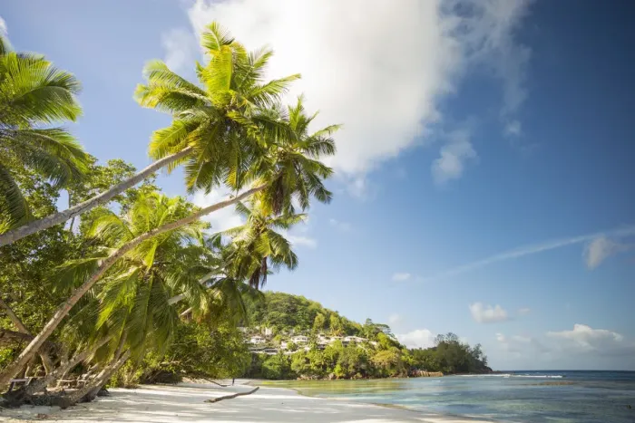 Framed Print : Palm trees and tropical beach, southern Mahe, Seychelles Framed Print : Palm trees and tropical beach, southern Mahe, Seychelles