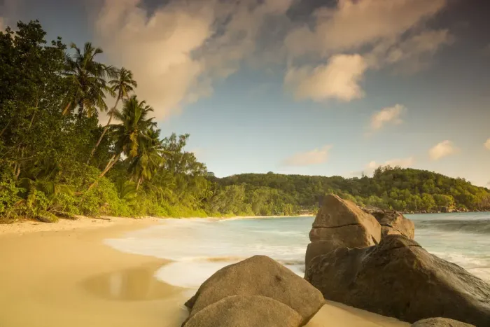 Framed Print : Palm trees and tropical beach, southern Mahe, Seychelles Framed Print : Palm trees and tropical beach, southern Mahe, Seychelles