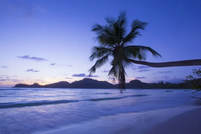 Framed Print : Palm trees and tropical beach, southern Mahe, Seychelles Framed Print : Palm trees and tropical beach, southern Mahe, Seychelles